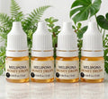 Melipona Bee Raw Honey ® Dropper (0.06 fl. oz. / 2 ml) – 100% Pure