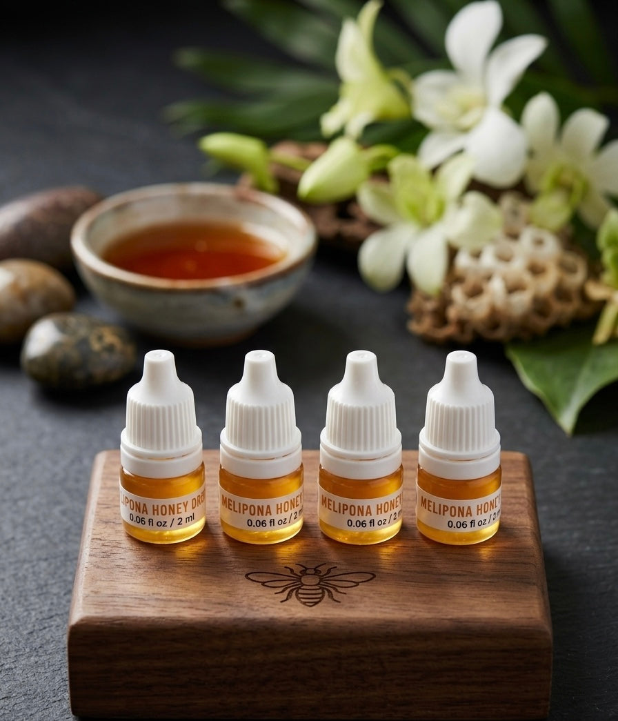 Melipona Bee Raw Honey Dropper - Pure Sweetness from Yucatán